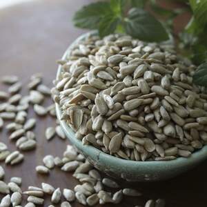 Насіння соняшника